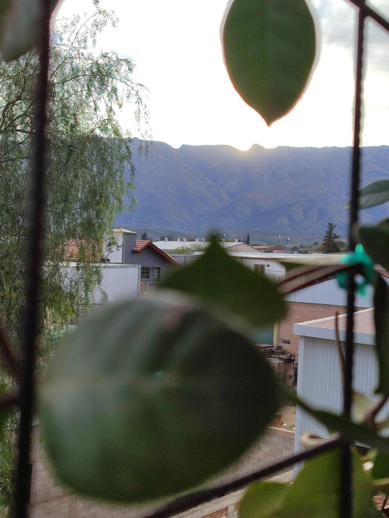 Terraza Terraza *